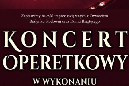 Plakat informacyjny - Koncert Operetkowy