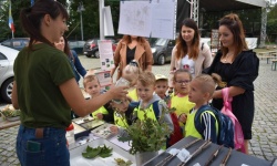 Bezpieczne Grzybobranie (44)