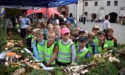 Bezpieczne Grzybobranie (29)