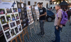 Koła zainteresowań działające przy Młodzieżowym Domu Kultury zaprezentowały się na raciborskim zamku (43)