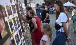 Koła zainteresowań działające przy Młodzieżowym Domu Kultury zaprezentowały się na raciborskim zamku (20)