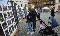 Koła zainteresowań działające przy Młodzieżowym Domu Kultury zaprezentowały się na raciborskim zamku (15)