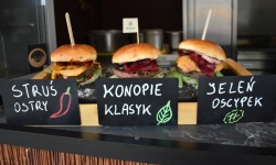 Zlot Food Trucków - Piknik Kulinarny (33)