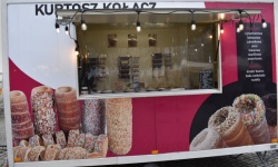 Zlot Food Trucków (2)