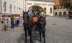 Wakacje w Siodle IV Odsłona - relacja z wydarzenia (20)