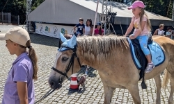 Wakacje w Siodle IV Odsłona - relacja z wydarzenia (9)