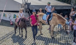 Wakacje w Siodle IV Odsłona - relacja z wydarzenia (18)