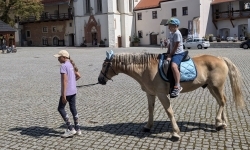 Wakacje w Siodle IV Odsłona - relacja z wydarzenia (13)