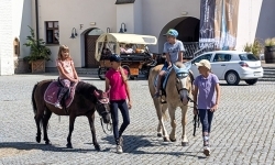 Wakacje w Siodle IV Odsłona - relacja z wydarzenia (12)