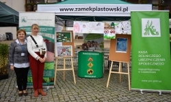 Bezpieczne grzybobranie na Zamku Piastowskim. Frekwencja dopisała! (11)