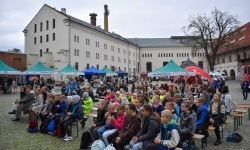 Bezpieczne grzybobranie na Zamku Piastowskim. Frekwencja dopisała! (19)