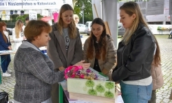 Bezpieczne grzybobranie na Zamku Piastowskim. Frekwencja dopisała! (16)