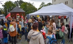 Bezpieczne grzybobranie na Zamku Piastowskim. Frekwencja dopisała! (16)