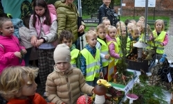 Bezpieczne grzybobranie na Zamku Piastowskim. Frekwencja dopisała! (3)