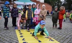 Bezpieczne grzybobranie na Zamku Piastowskim. Frekwencja dopisała! (7)