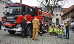 Bezpieczne grzybobranie na Zamku Piastowskim. Frekwencja dopisała! (12)